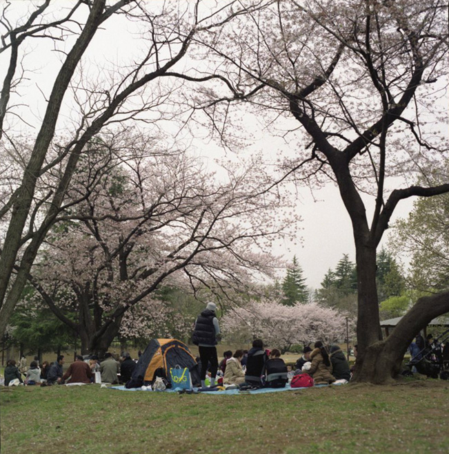 c0171206_745890.jpg