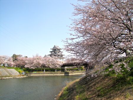 b0051109_1155664.jpg