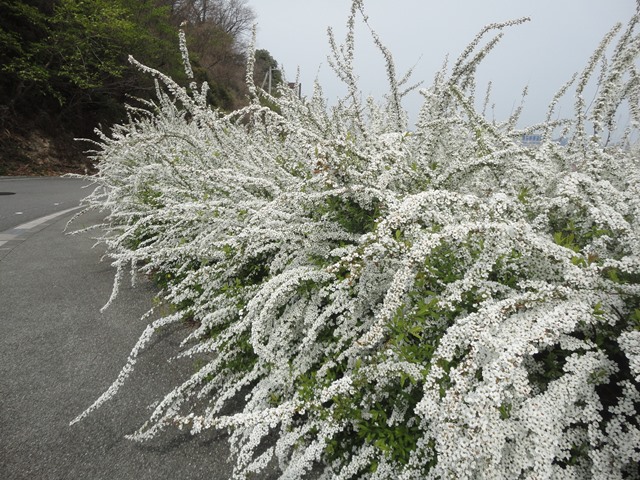 f0231709_2213382.jpg