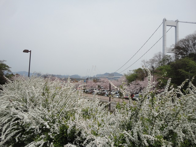 f0231709_2214346.jpg