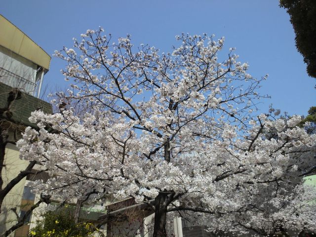 f0127610_2351335.jpg