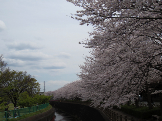 c0219815_14533138.jpg