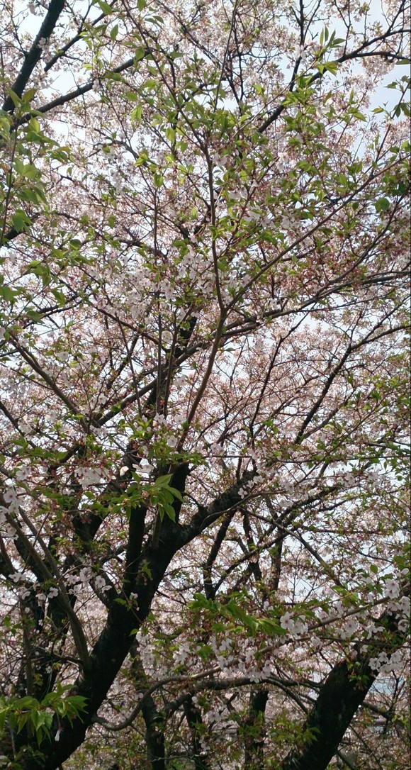 f0220919_9212370.jpg