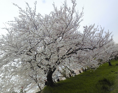 c0280322_17221526.jpg