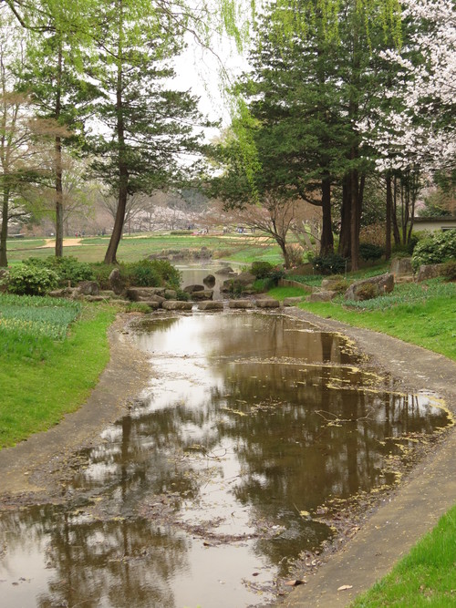 c0087023_20261391.jpg