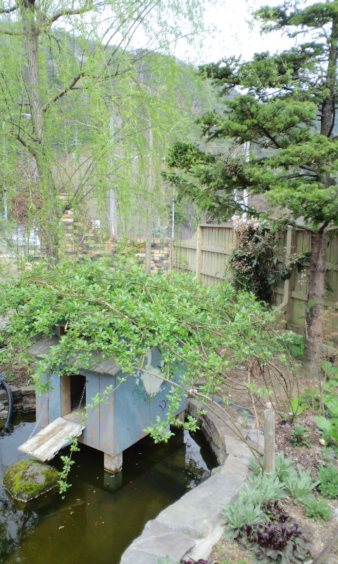 e0050324_15515332.jpg