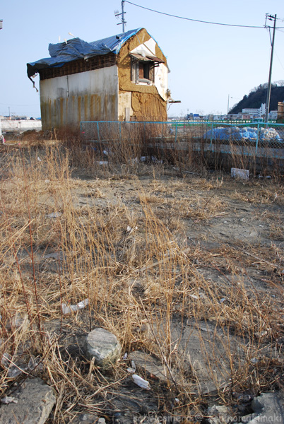 f0164826_23371364.jpg
