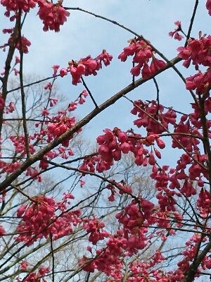 b0080027_21113790.jpg