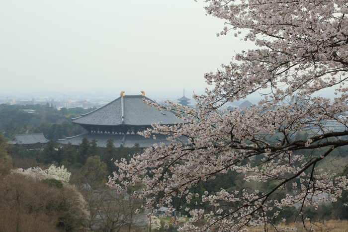 d0283427_20105366.jpg