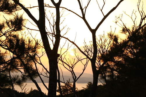 d0158028_18344082.jpg