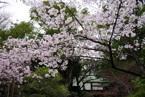 d0250028_1404475.jpg