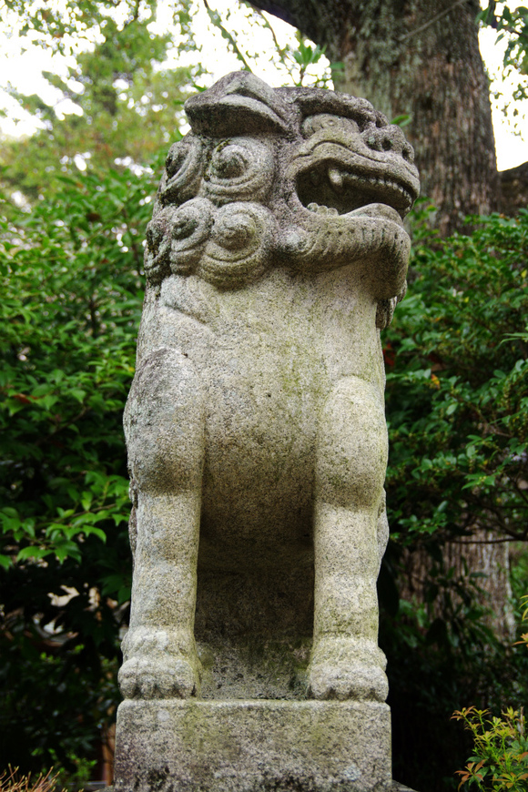 d0250028_1421425.jpg
