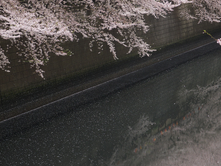a0253730_23154861.jpg