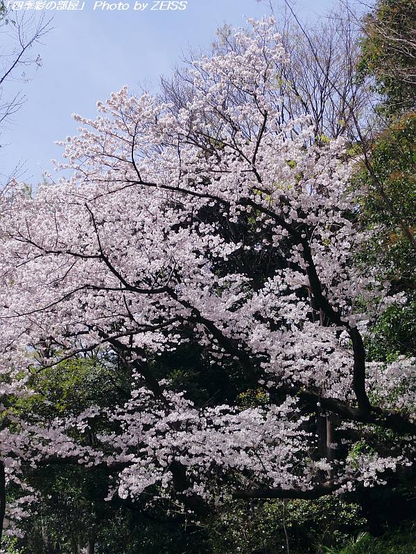 a0195032_21353325.jpg