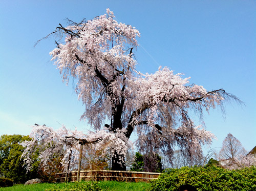 b0035734_1810291.jpg