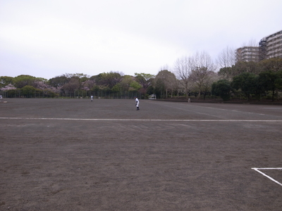 d0224139_206572.jpg