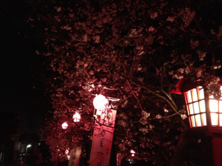 b0190640_1925389.png