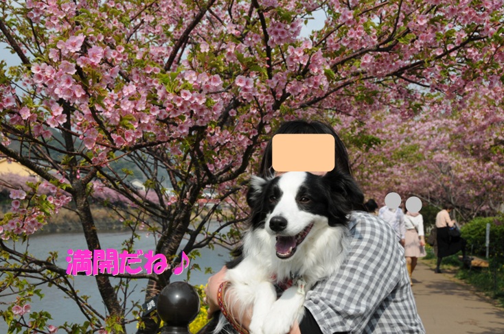 c0147241_18134383.jpg
