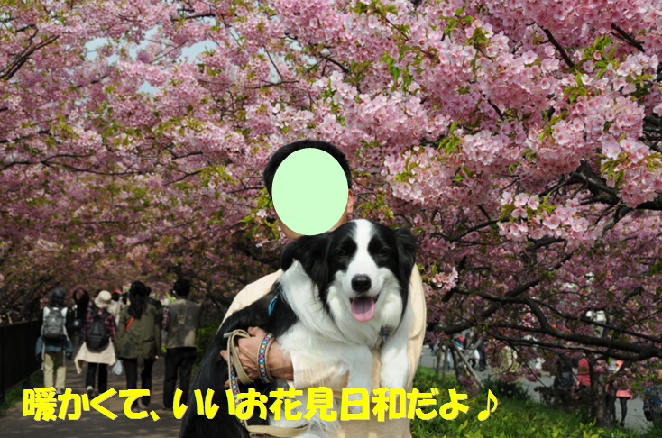 c0147241_18144151.jpg