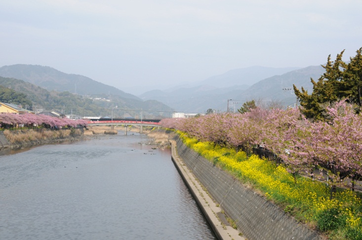 c0147241_18145097.jpg