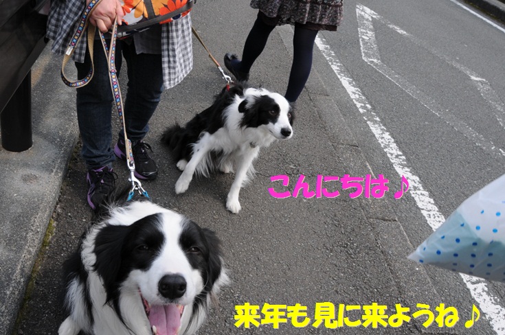 c0147241_1816159.jpg