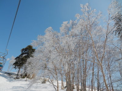 a0142343_7173911.jpg