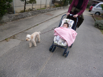 d0070047_013287.jpg