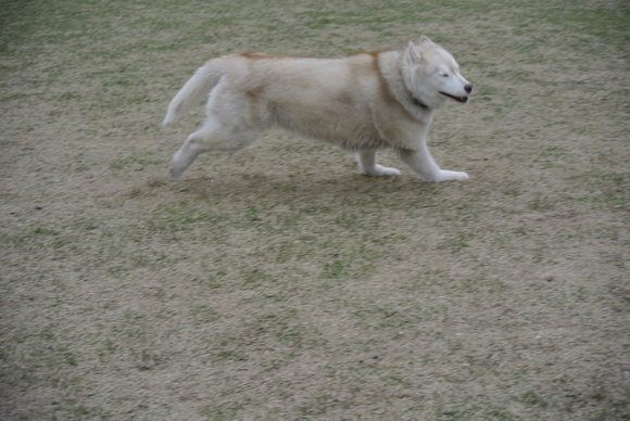 e0121548_2149123.jpg