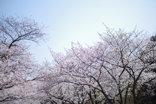 a0299749_21374759.jpg