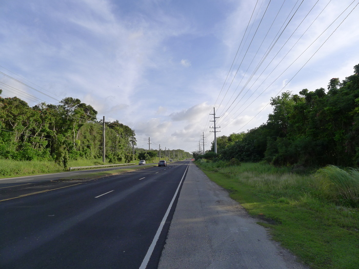 d0012449_22452071.jpg