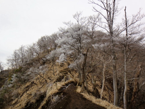 c0179351_2036179.jpg