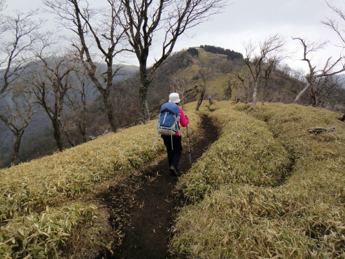 c0179351_20433293.jpg