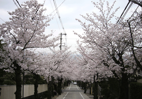 c0225153_23543599.gif