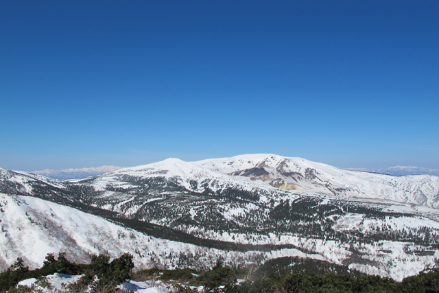c0116856_1449640.jpg