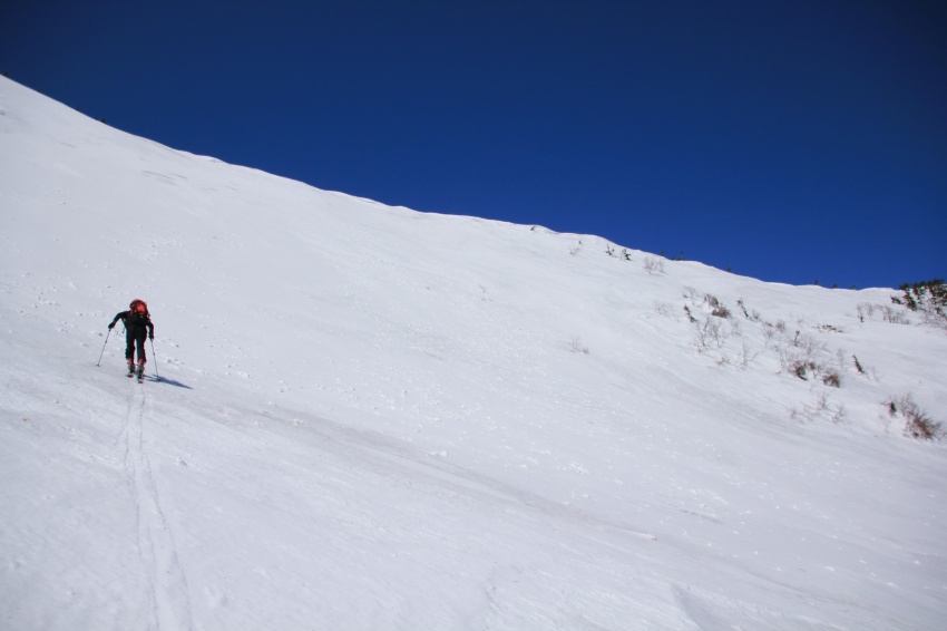 c0116856_1452121.jpg