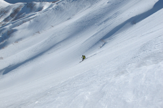 c0116856_1554440.jpg
