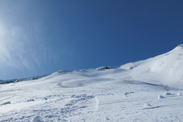 c0116856_1585652.jpg
