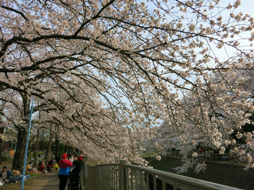 e0208058_821698.jpg
