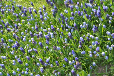 b0267163_13593131.jpg