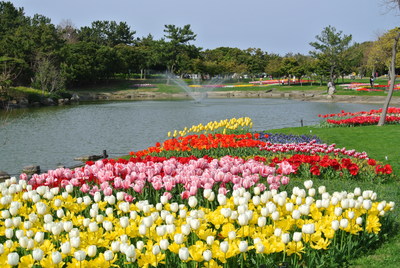 b0267163_1422237.jpg