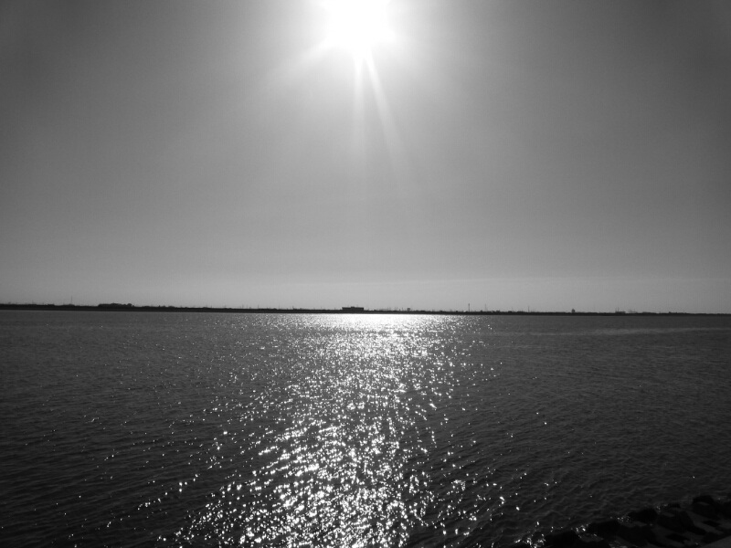 d0282264_1161592.jpg