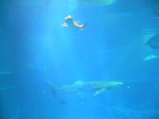 b0223766_1425129.jpg