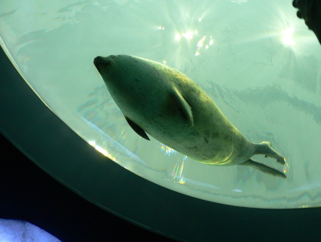 b0223766_14253927.jpg