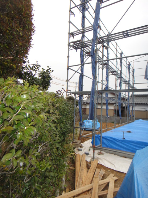 f0185466_83114.jpg
