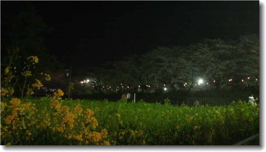 f0065167_1375097.jpg