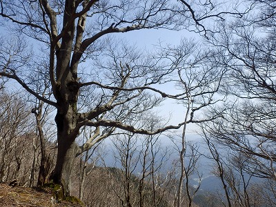 f0057070_1831640.jpg