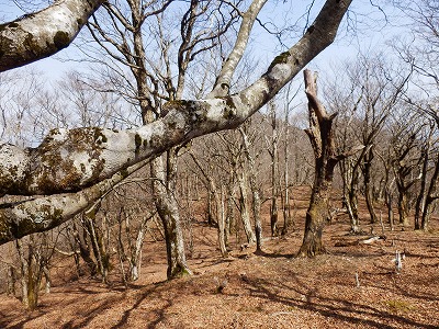 f0057070_1832926.jpg