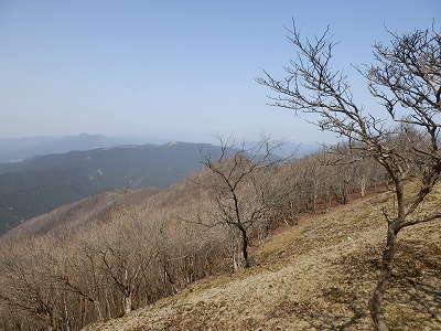 f0057070_1833720.jpg