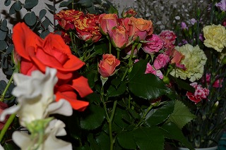 d0100373_5155458.jpg