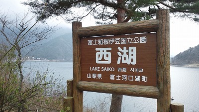 a0268377_1922127.jpg
